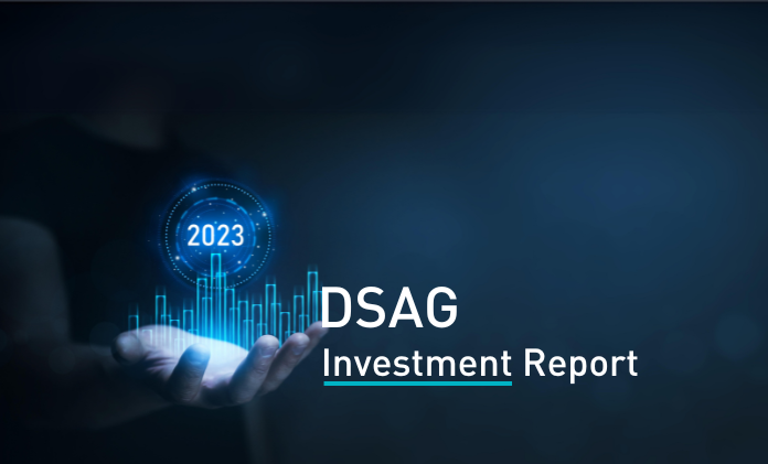 Teaser DSAG Investment report 2023