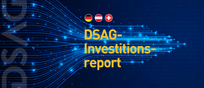 Symbolfoto für den DSAG-Investitionsreport 2024