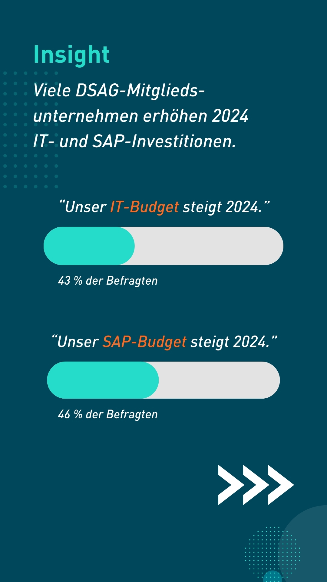 Slide für die Visual Story, die Überblick über die IT- bzw- SAP-Investitionen der DSAG-Mitgliedsunternehmen gibt